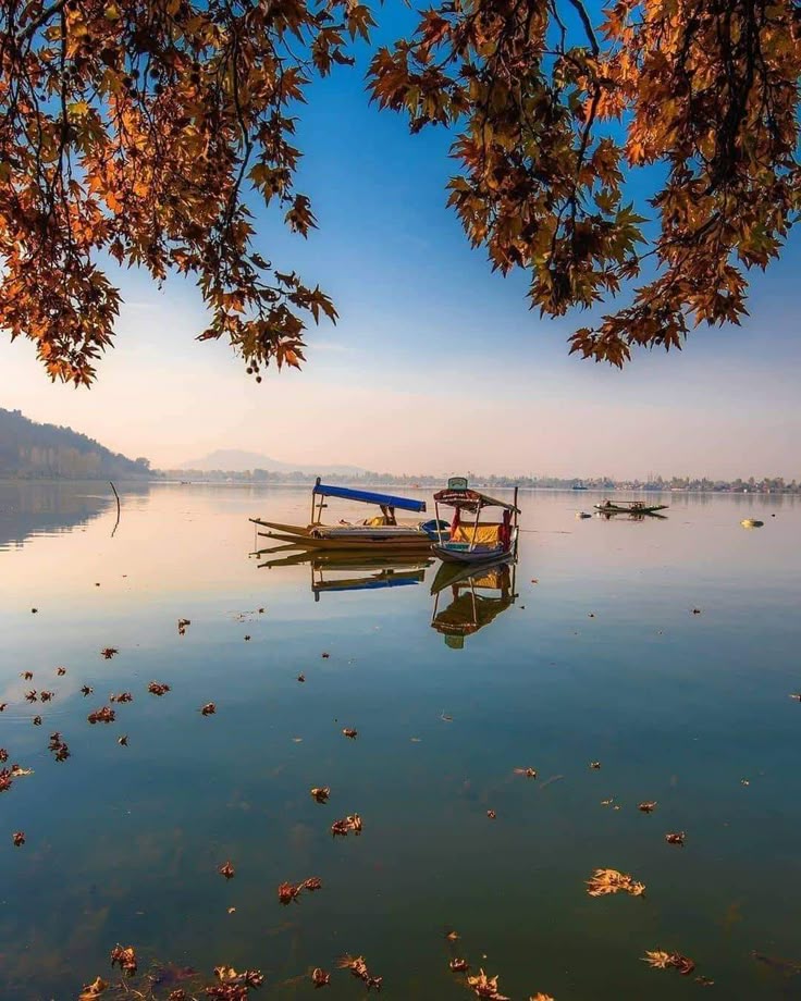 Srinagar Tour